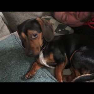 Meet your Posher, Jason